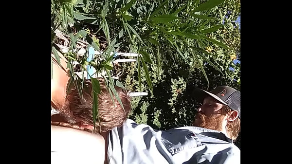 Succhia e scopa a caldo nella patch 420